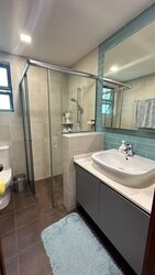 Merawoods (D23), Condominium #507280271